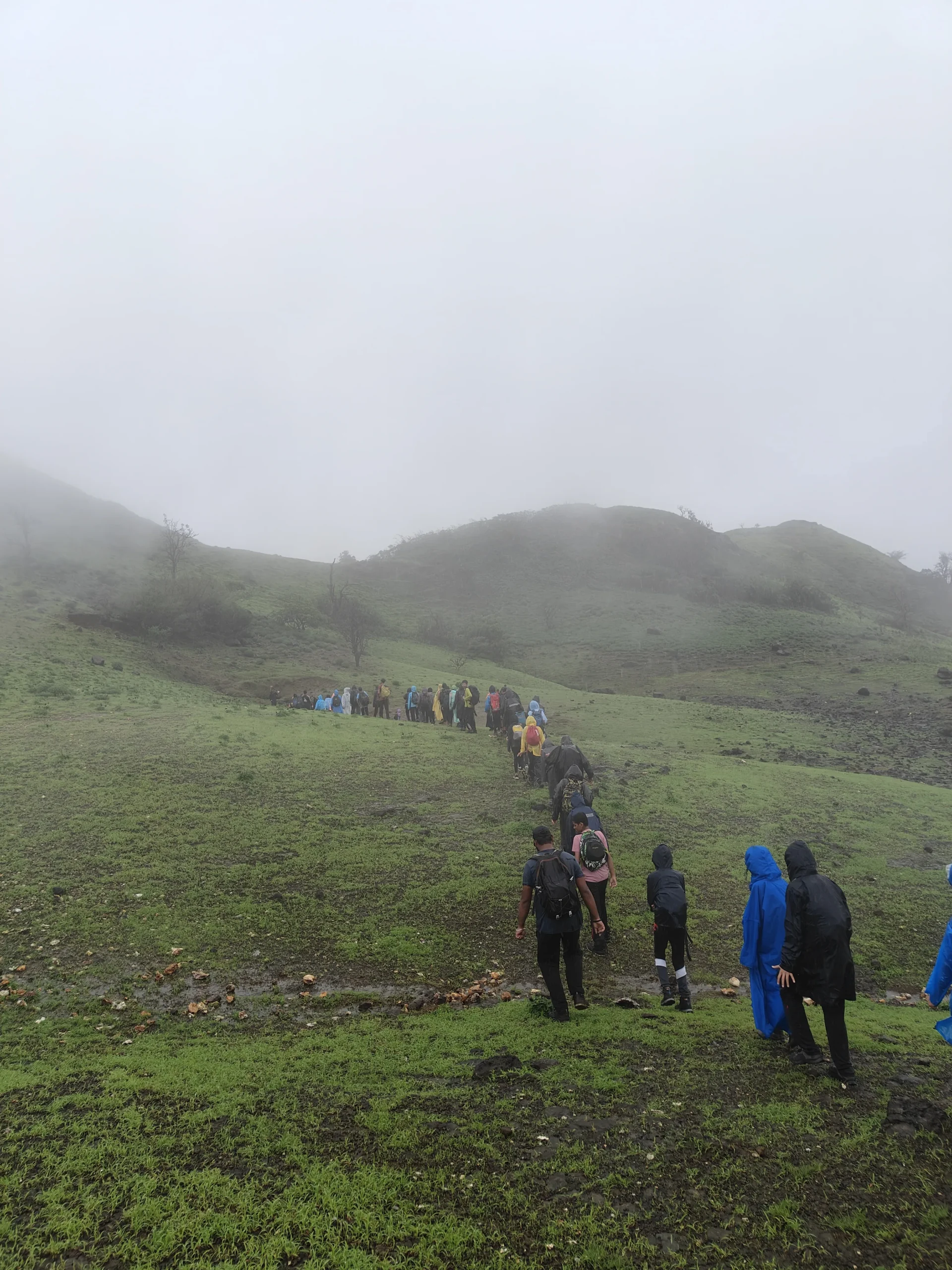 Avhaan Advance - JULY - Image 3