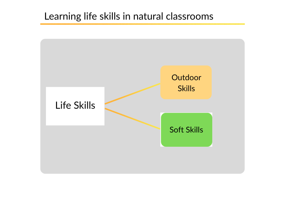 ANU Curriculum