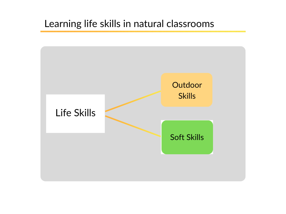 ANU Curriculum