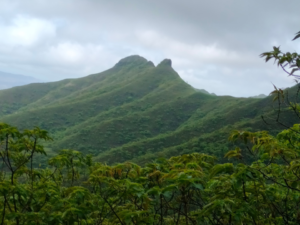 CPSM Open Adventure Club - Katraj to Bhopdev Ghat Trek