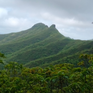CPSN Open Adventure Club - Katraj to Bhopdev Ghat Trek