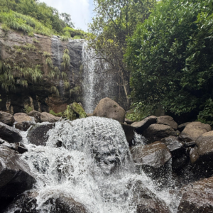 CPSR Open Adventure Club - Tajubai Waterfall Trek
