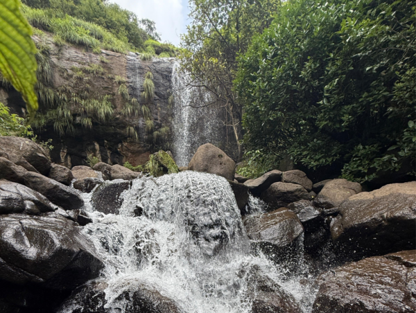 CPSR Open Adventure Club - Tajubai Waterfall Trek