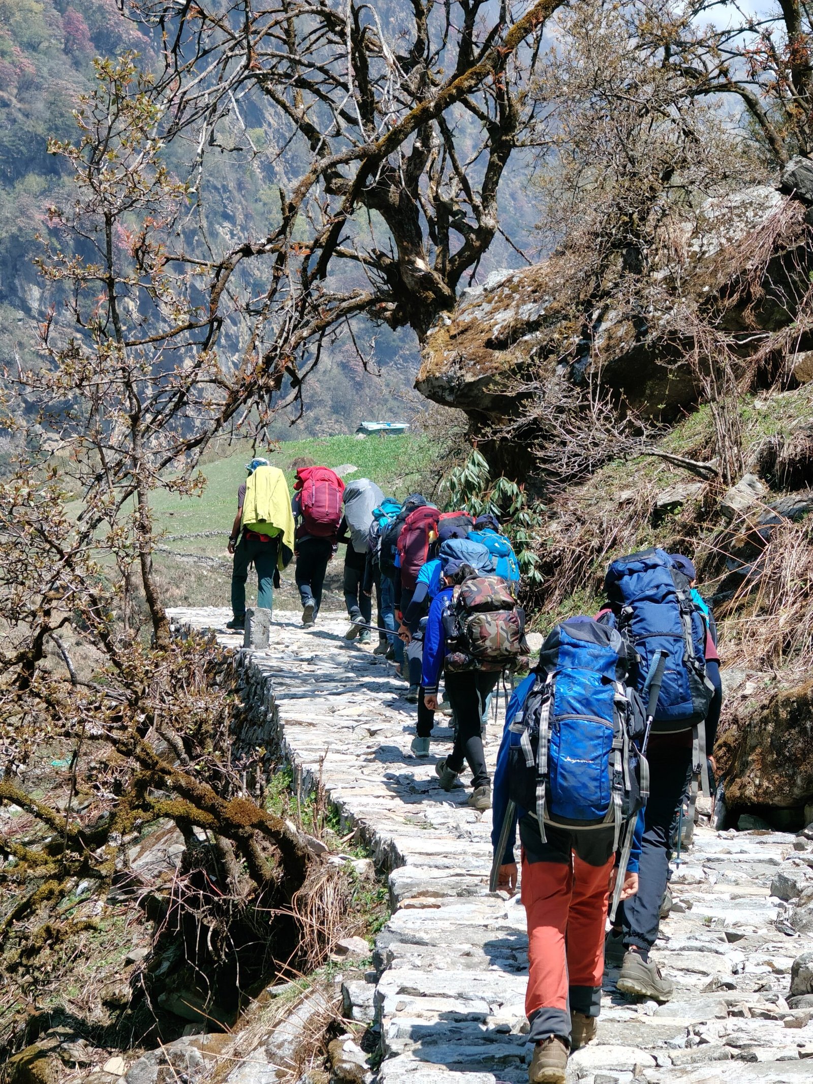 HAC - Nirmaan - Image 4