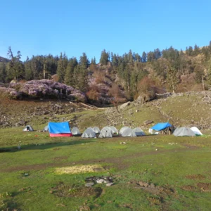 HAC - Nirmaan Advance