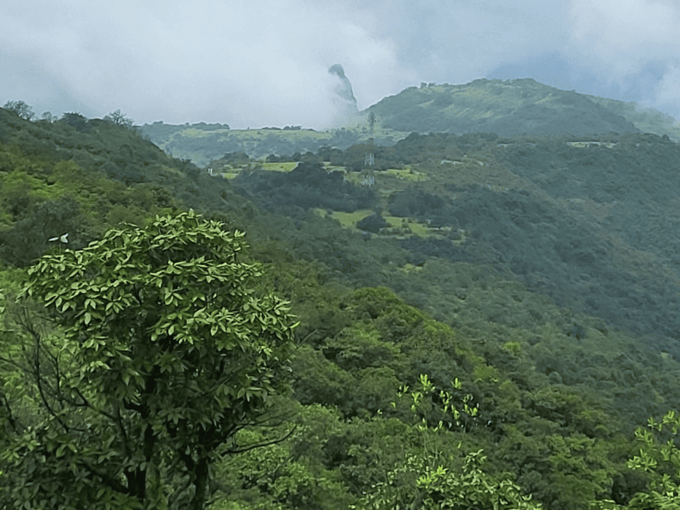 Udaan - AUGUST - Image 4