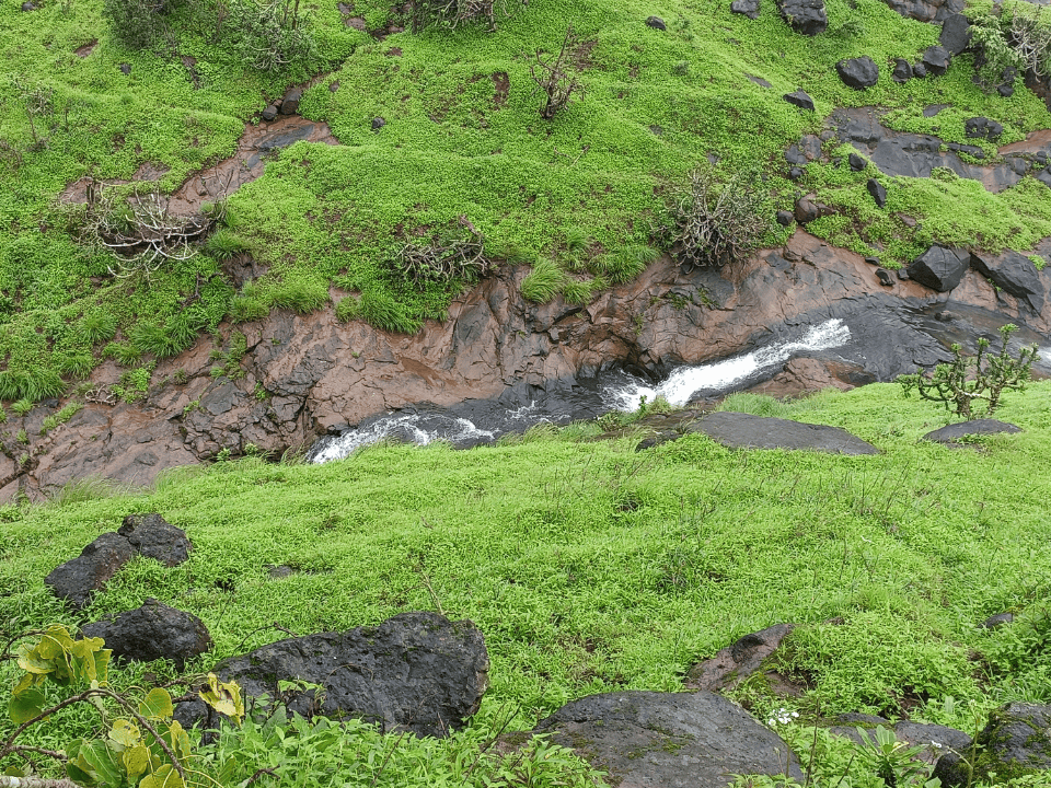 AIS Avhaan Advance - August - Image 2