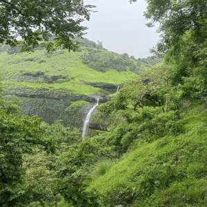 AIS Avhaan Advance - August