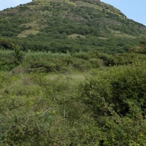 Sevasadan English Medium School - Kalyangad Fort Trek